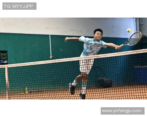 网球运动的魅力与挑战：从基础技巧到职业赛事的全面解析