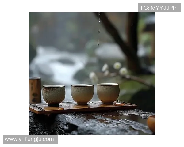 茶堂韵味：在茶香与闲聊中品味时光的静谧与深远